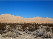 mojave_national_preserve_18