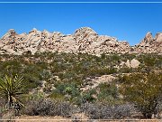 mojave_national_preserve_20