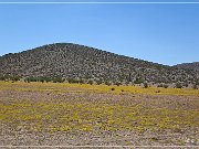 Gold Camp Road