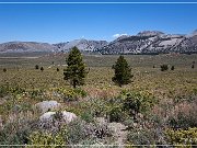US 395