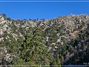 san_bernardino_mountain_06