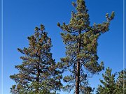 san_bernardino_mountain_07