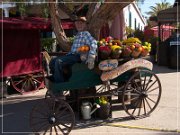 San Diego - Old Town SHP