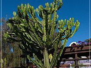 San Diego - Old Town SHP
