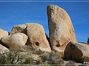 Joshua Tree NP