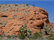 New Gold Butte Road