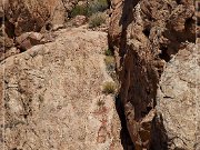 New Gold Butte Road