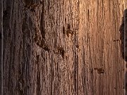 Cathedral Gorge SP