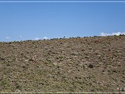 Easy Chair Crater