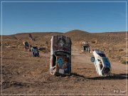 International Car Forest
