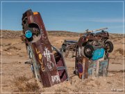 International Car Forest