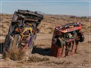 International Car Forest