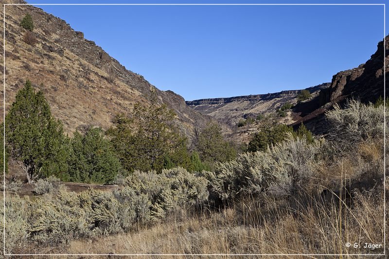 jarbidge_canyon_pinnacles_04.jpg