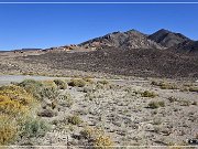 NV 361
