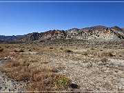 NV 361