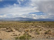 NV 376
