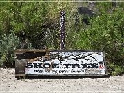 Shoe Tree (fallen)
