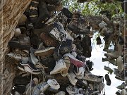 Shoe Tree (fallen)