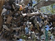 us_50_shoe_tree_11