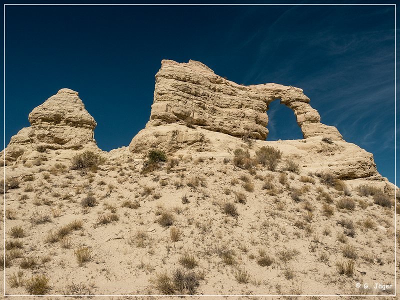 teapot_arch_nv_08.jpg