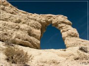 teapot_arch_nv_12