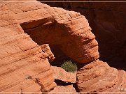 Valley of Fire SP
