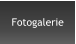 Fotogalerie