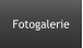 Fotogalerie