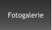 Fotogalerie