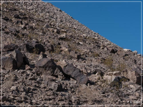 Antelope Hill, Felsbrocken mit Petroglyphs