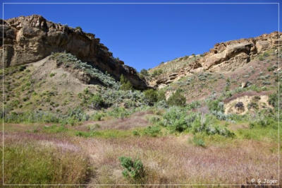 Camel Ridge Site