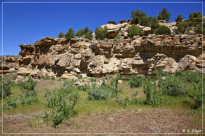 Cow Canyon Site