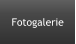 Fotogalerie