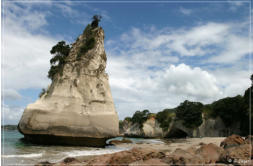 Cathedral Cove